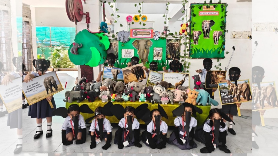 World Elephant Day Celebration